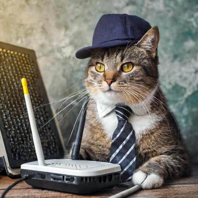 sikorski@nightcord.de